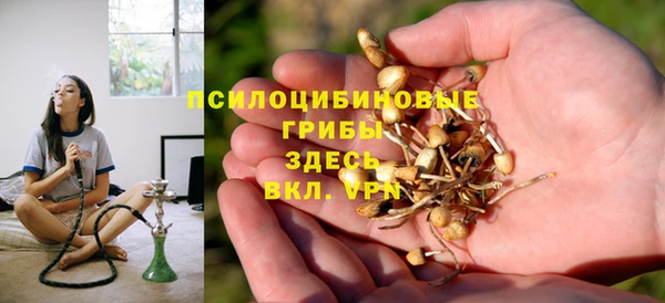 тгк Алзамай