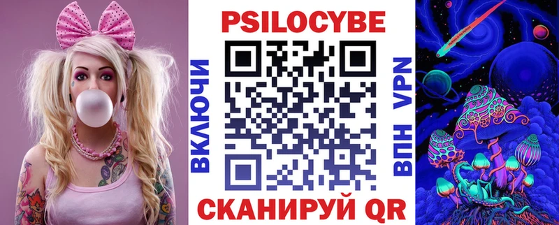 купить наркоту  Кувшиново  Галлюциногенные грибы Cubensis 