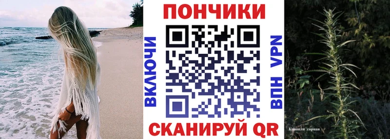 хочу наркоту  Кувшиново  Конопля семена 